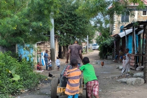 Pueblo Mijikenda y santuario de vida silvestre Nguuni