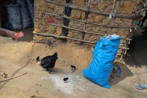 Pueblo Mijikenda y santuario de vida silvestre Nguuni