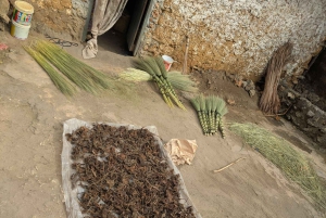 Pueblo Mijikenda y santuario de vida silvestre Nguuni