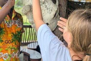 Pueblo Mijikenda y santuario de vida silvestre Nguuni