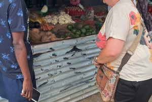 Pueblo Mijikenda y santuario de vida silvestre Nguuni