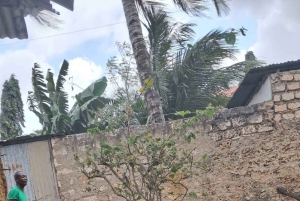 Pueblo Mijikenda y santuario de vida silvestre Nguuni