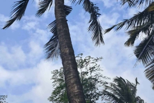 Pueblo Mijikenda y santuario de vida silvestre Nguuni