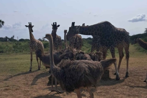 Pueblo Mijikenda y santuario de vida silvestre Nguuni
