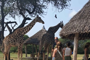 Pueblo Mijikenda y santuario de vida silvestre Nguuni