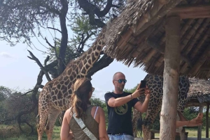 Pueblo Mijikenda y santuario de vida silvestre Nguuni