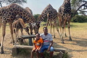 Pueblo Mijikenda y santuario de vida silvestre Nguuni