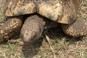 Pueblo Mijikenda y santuario de vida silvestre Nguuni