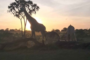Pueblo Mijikenda y santuario de vida silvestre Nguuni