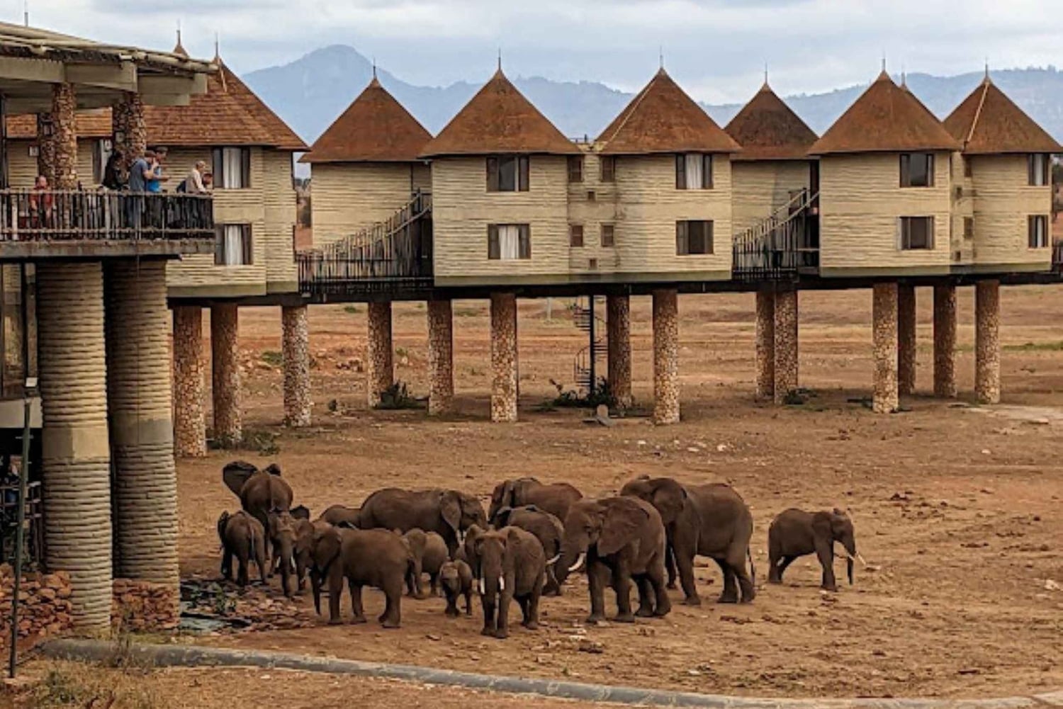 Mombasa: 2-dages safari til Taita Hills Vildtreservat