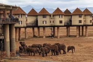 Mombasa: 2-daagse safari naar Taita Hills wildreservaat