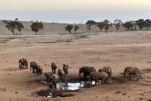 Mombasa: 2-daagse safari naar Taita Hills wildreservaat