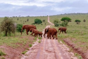 Mombasa: 2-daagse safari naar Taita Hills wildreservaat