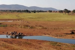 Mombasa: 2-daagse safari naar Taita Hills wildreservaat