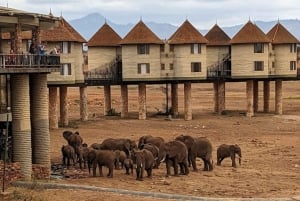 Mombasa: 2-dages safari til Taita Hills Vildtreservat