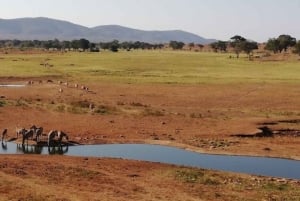 Mombasa: 2-dages safari til Taita Hills Vildtreservat