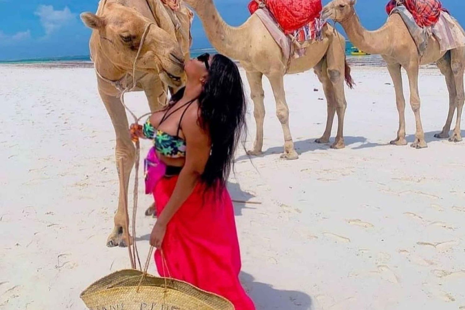 Mombasa: 3-dages strandtur med besøg i Haller Park