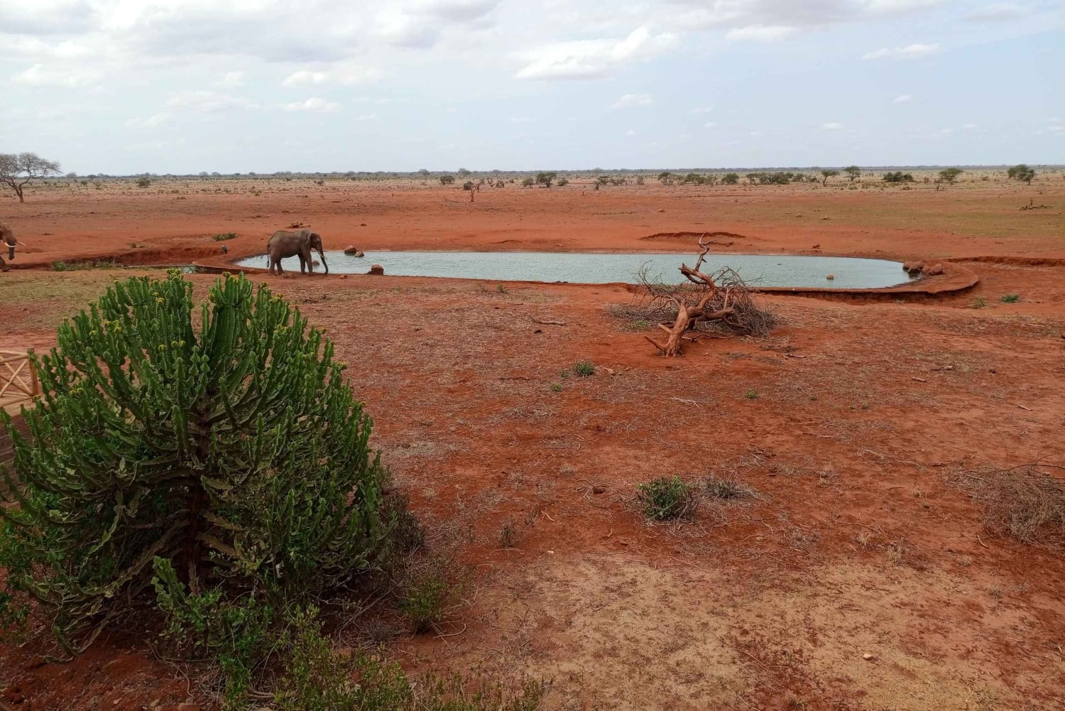 Mombasa: 3-Day Tsavo East and West Safari with Accommodation