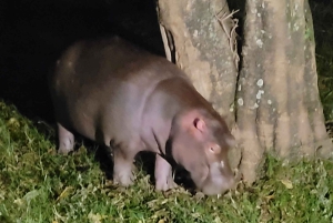 Mombasa: 3-Day Tsavo East and West Safari with Accommodation