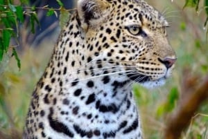 Mombasa: 3-Day Tsavo East and West Safari with Accommodation