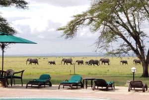 Mombasa: 4-Day Safari to Tsavo East, Tsavo West & Amboseli