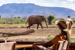 Mombasa: 4-dagars Tsavo East Safari med viltsafari