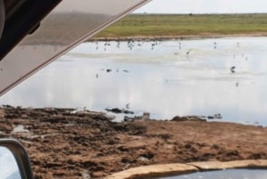 Mombasa: 4-daagse safari naar Tsavo East, Tsavo West en Amboseli