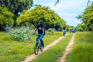 Mombasa: Bamburi Forest Bike Ride