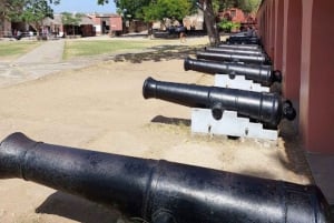 Mombasa: tour por la ciudad, el fuerte Jesu, el casco antiguo y el mercado de las especias