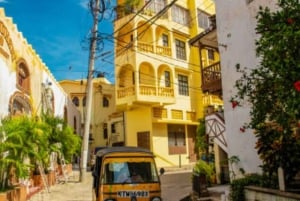 Mombasa: tour por la ciudad, el fuerte Jesu, el casco antiguo y el mercado de las especias