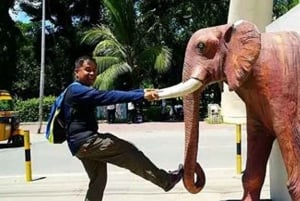 Момбаса: пешеходная экскурсия по городу с поездкой на тук-туке.