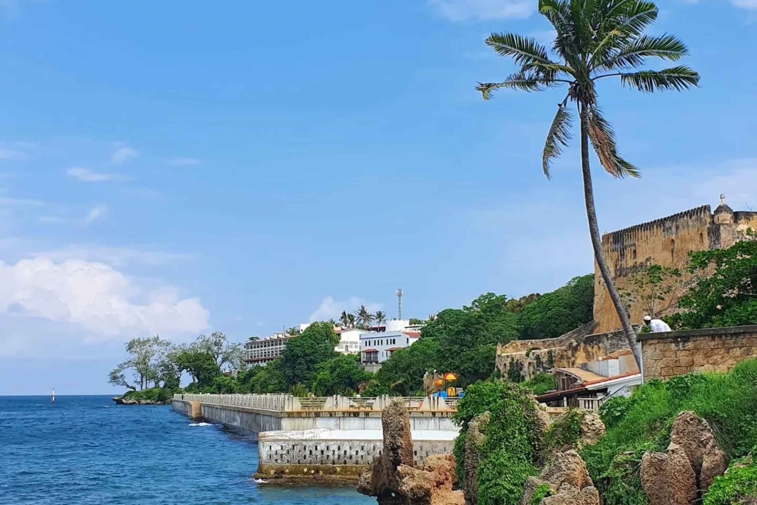 Mombasa: tour della città e crociera serale in dhow con servizio di prelievo