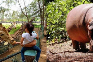 Mombasa City Tour: Fort Jesus Museum & Haller Park Tour