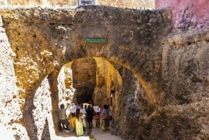 Mombasa City Tour: Fort Jesus Museum, Old Town & Haller Park