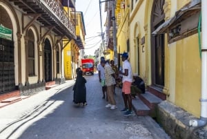 Mombasa City Tour: Fort Jesus Museum, Old Town & Haller Park
