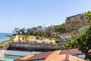 Mombasa City Tour: Fort Jesus Museum, Old Town & Haller Park