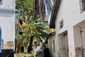 Mombasa stadsvandring, Fortjesus, Oldtown, Tusks och Spice Market.