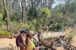 Mombasa Full Day City tour & Haller Park