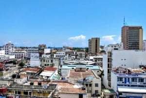 Mombasa: Stadsrundtur med inträde till Fort Jesus och Haller Park