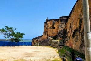 Mombasa: City Tour with Fort Jesus & Haller Park Entrance