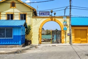 Mombasa: Byrundtur med adgang til Fort Jesus og Haller Park