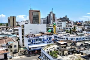 Mombasa: Bytur med Fort Jesus og Haller Park-inngang