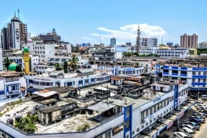 Mombasa: Bytur med Fort Jesus og Haller Park-inngang