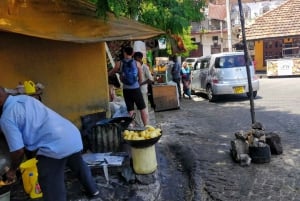 Mombasa: Byrundtur med adgang til Fort Jesus og Haller Park