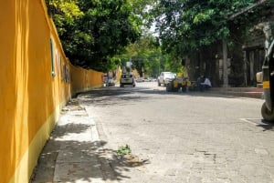 Mombasa: City Tour with Fort Jesus & Haller Park Entrance