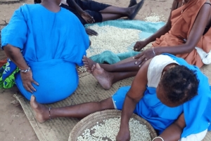 Mombasa: Cultureel dorp en Kongowea markt tour