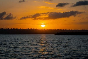 Mombasa Dhow Cruise at the Tudor Creek