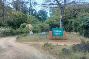 Mombasa/Diani: Uforglemmelig privat byrundvisning i Mombasa.