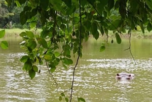 Mombasa/Diani: Uforglemmelig privat byrundvisning i Mombasa.