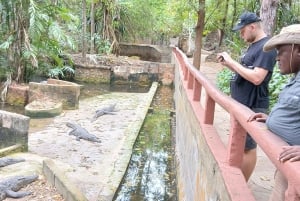 Mombasa/Diani: Uforglemmelig privat byrundvisning i Mombasa.